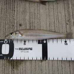 ダメ元でのエントリー